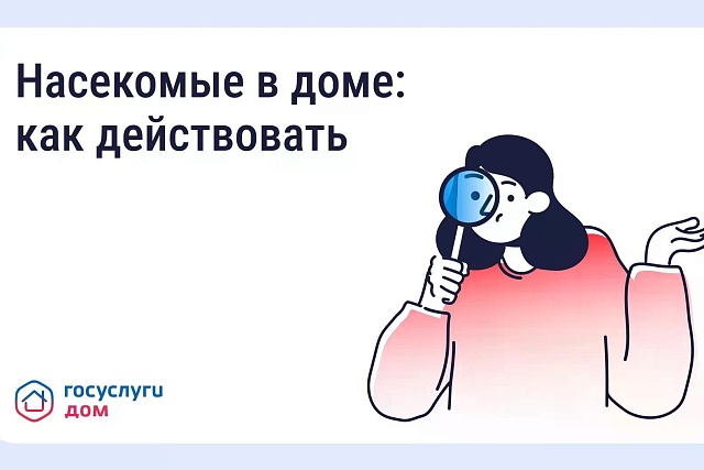 Борьба с насекомыми в многоквартирном доме